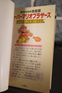 Guide Super Mario Bros. (06)